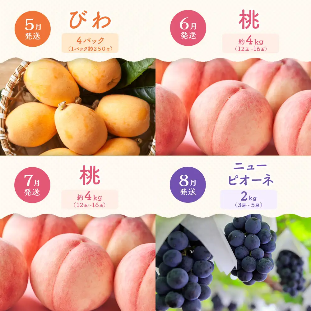 【定期便全12回】旬果厳選！四季を味わう単品定期便♪～プレミアム等級選果～ | フルーツ