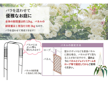daim ぴったりサイズのフラワーアーチ 【調節 可能 ローズアーチ バラ アーチ ガーデンアーチ つるバラ 誘引 薔薇】 [C-18412]