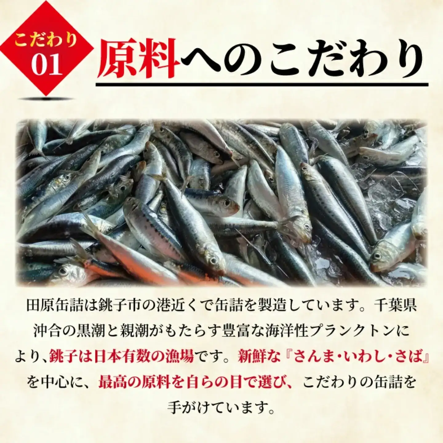 【 缶詰 】 サーモン水煮 8個 | 缶詰