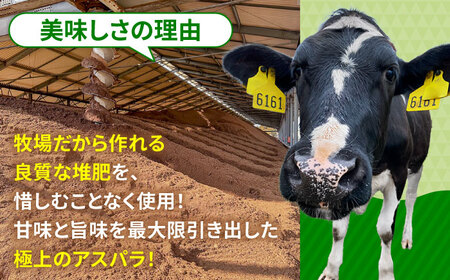 モーモーアスパラ 夏芽 M / L / 2L セット 1.2kg（6月上旬から順次発送) 日田市 アスパラガス[ARAI038]