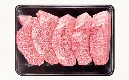 定期便 10回 佐賀牛 シャトーブリアン 1kg 毎月コース 牛肉 ※配送不可：北海道、沖縄、離島