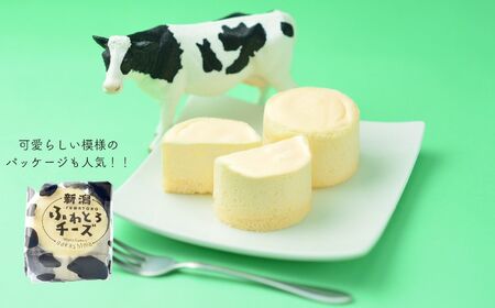 濃厚なのに優しい口当たり『新潟ふわとろチーズ』 9個入り 1箱 レアチーズとスフレチーズケーキのいいとこどりの美味しさ 優しい味わい ギフトにもおすすめ 新潟県 糸魚川市 ナカシマ 新感覚のチーズケーキ のし対応可 チーズケーキ スイーツ 洋菓子 お歳暮 お中元 贈答