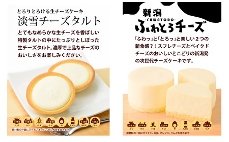 『新潟4種のチーズケーキ』 12個入り 1箱 人気の大糸チーズ、半熟ショコラ、新潟ふわとろチーズ、淡雪チーズタルト 優しい味わい ギフトにもおすすめ 新潟県 糸魚川市 ナカシマ のし対応可 チーズケーキ スイーツ 洋菓子 お歳暮 お中元 贈答