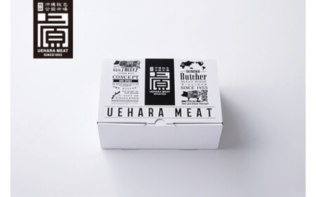 石垣牛ハンバーグセット(8個入) （AG031）