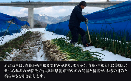 岩津ねぎのお味噌汁