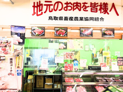 鳥取和牛小間切れ 500g 牛肉 とりちく 鳥取県畜産農業協同組合 1090