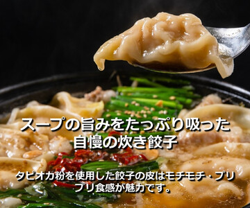AV-023_九州産和牛マル腸もつ鍋（炊き餃子入り）