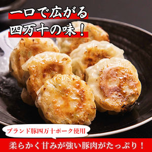 四万十産ブランド豚使用！四万十たっぷり丸餃子 4袋（30g×6個入)合計720g ／Qak-43 餃子 生餃子 ブランド豚