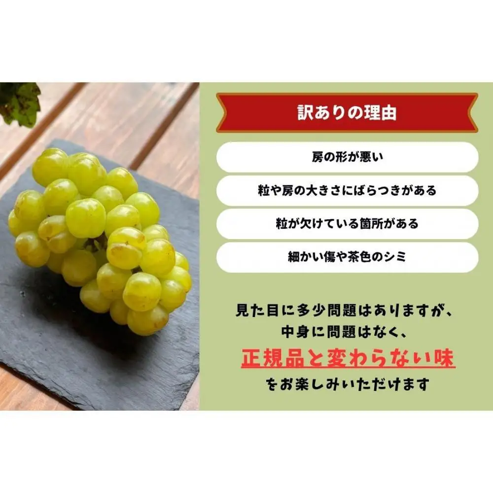 家庭用 瀬戸ジャイアンツ 2房 合計1.0kg以上 産地直送 朝採れ ぶどう 葡萄 岡山 Kawahara Green Farm 2026年 | ぶどう