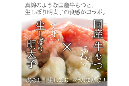 もつ鍋 セット 明太醤油もつ鍋 4～6人前 [um40azp190025] もつ鍋