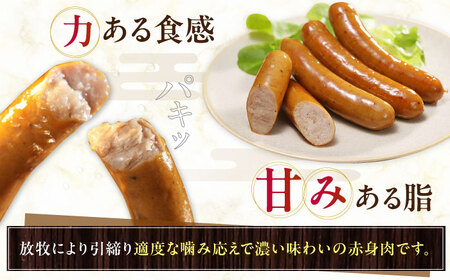 【全3回定期便】【結着剤・発色剤・保存料不使用】 放牧豚 粗挽きウィンナー 500g×2パック 無添加 ソーセージ 無塩せき 北海道 [AXBA055]