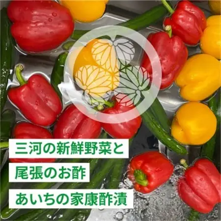 三河野菜の葵ピクルス「あいちの家康酢漬」250g【配送不可地域：離島】【1575504】