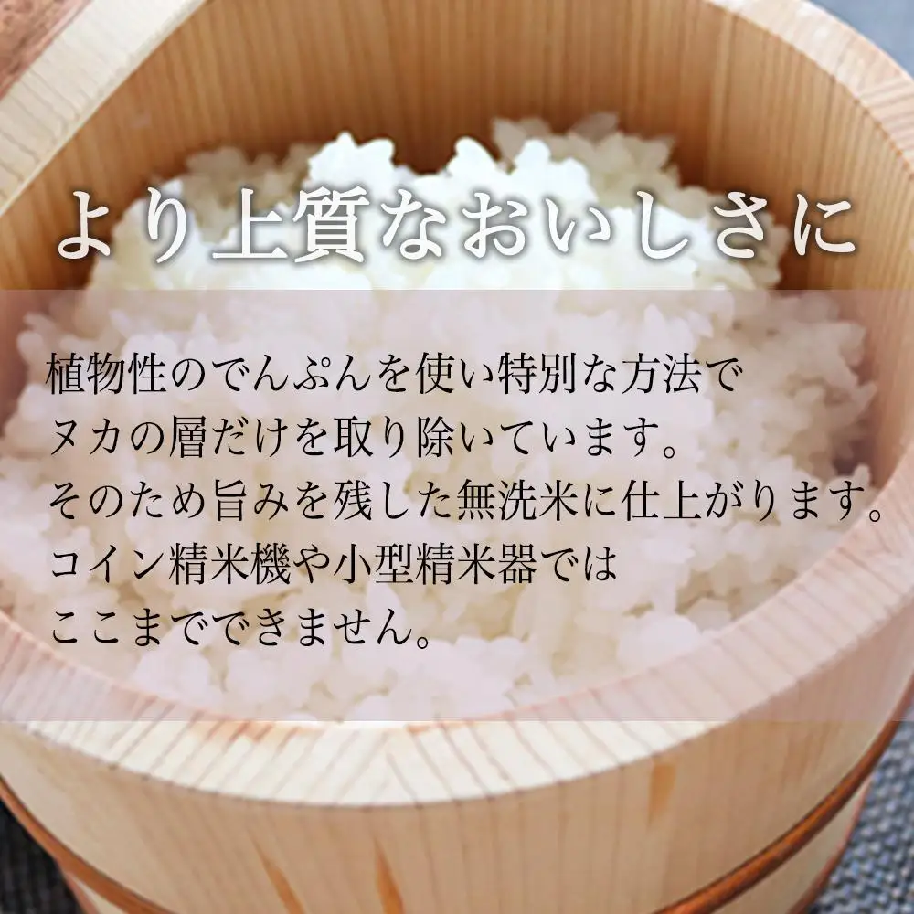 【定期便】令和7年産 南魚沼産コシヒカリ《吟精無洗米》 5kg 12ヶ月連続