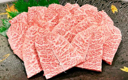 【2カ月定期便】おおいた和牛 ミスジ焼肉 約400g 400g×2回 計約800g