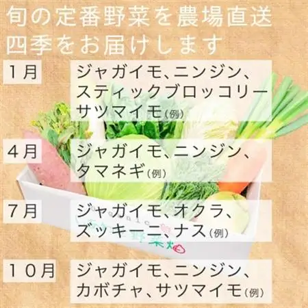 有機野菜でカレーを作ろう　カレーに使える有機野菜を3～4種類　定番野菜だからなんにでも使えます。【配送不可地域：離島・北海道・沖縄県・四国・九州】【1568592】