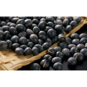 【ふるなび限定】【お試サイズ】北海道 黒豆茶150ｇ 2袋 | 黒豆茶 _04760 FN-Limited-SP