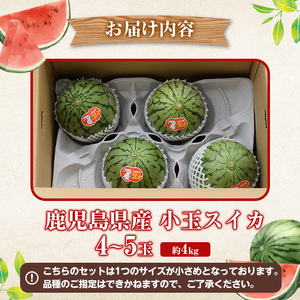 鹿児島県産 小玉スイカ(4～5玉) 国産 果物 スイカ すいか 西瓜 フルーツ スイーツ スムージー ジュース 期間限定【松永青果】akn053-25