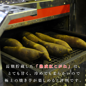 【訳あり】行方かんしょ「紅こがね」さつまいも約10kg（洗い・不揃い・C品）｜さつまいも 芋 わけあり 訳あり 焼芋 やきいも 紅こがね 茨城県 行方市 人気 送料無料(AE-109)