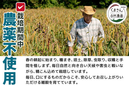 雑穀 ひえ 計600g（200g×3袋） 農薬不使用 無農薬 ご飯に混ぜて炊くだけ 国産 国内産