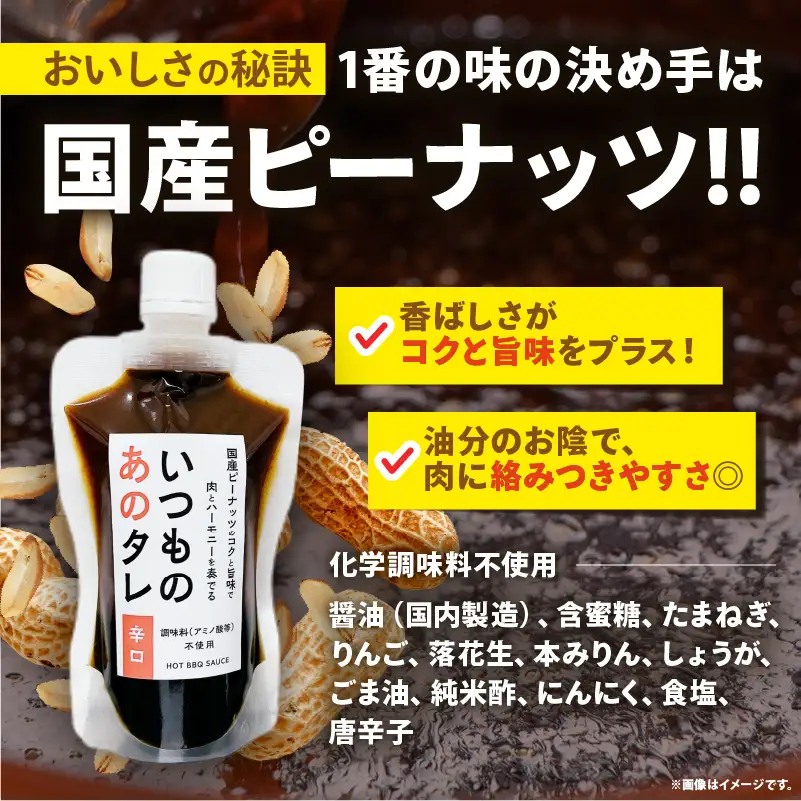 いつものあのタレ辛口2個セット_B180-002