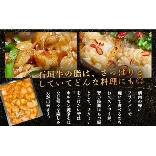 石垣牛 マルチョウ 味噌味 300g×4パック