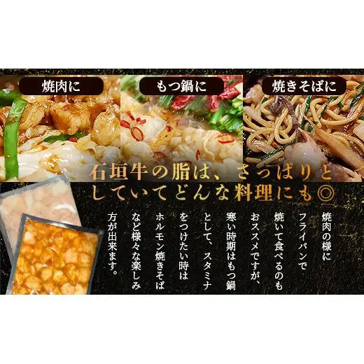石垣牛 マルチョウ 300g×4パック 味噌味 プレーン 食べ比べ