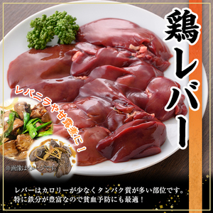 鹿児島県産 鶏 レバー(計3kg・250g×12P)【株式会社羽根】A575