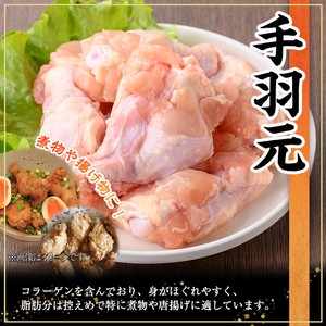 鹿児島県産 若鶏 手羽元(計4kg・500g×8P)【株式会社羽根】A580
