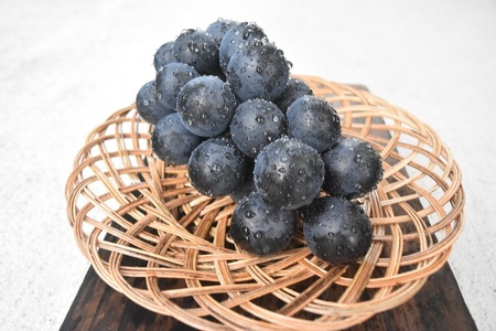 おまかせ！ぶどう3色食べ比べセット　約1.8㎏ シャインマスカット 山梨シャインマスカット