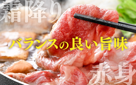 【先行予約】神戸牛 ブリスケ 250g ※2026年7月上旬から順次発送予定  / 神戸牛