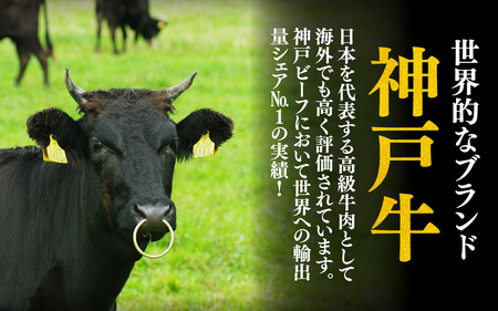 【先行予約】神戸牛 ブリスケ 1.5kg ※2026年7月上旬から順次発送予定 / 神戸牛