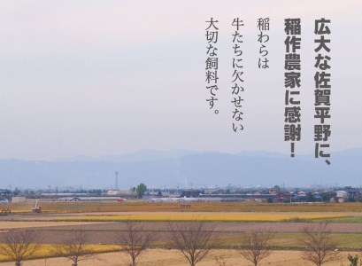 【6回定期便】佐賀牛赤身定期便【フルーム】[FAZ024]