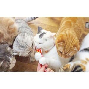 猫用おやつ　いなば CIAO チャオ ちゅ～る ・ まぐろバラエティ320本 （14ｇ40ｘ8袋）セット（ キャットフード  ペットフード   ）静岡市