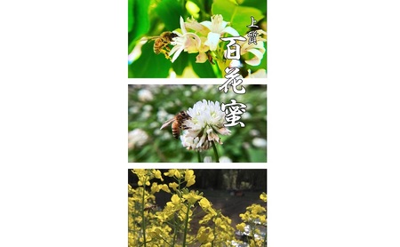 【最高級】上質 百花蜜 120g 蜂蜜 国産 無添加 無着色 非加熱 安心安全 こだわり はちみつ ハチミツ ハニー