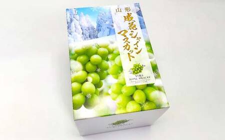 【2026年 先行予約】贈答用 シャインマスカット 約700g 1房 秀品 ぶどう 果物 フルーツ 山形県 中山町 F4A-0482