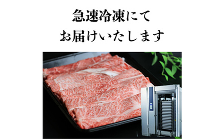 厳選 山形牛 切り落とし 600g (300g×2パック) 牛肉 肉 和牛 国産 にく F2Y-3953