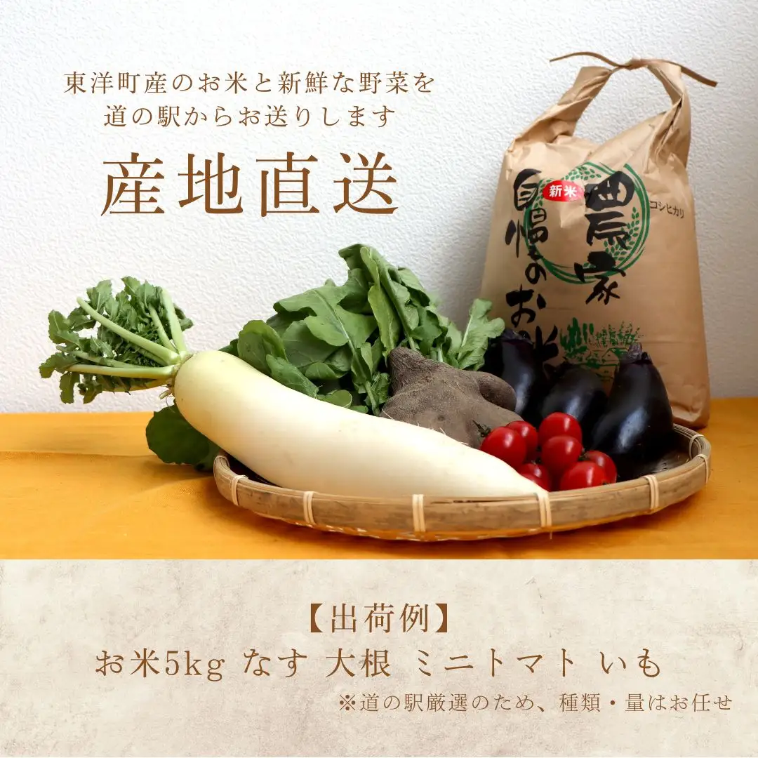 MT002　お米5kgと旬の野菜の詰め合わせ 道の駅東洋町おまかせセット 季節の野菜 米 おまかせ