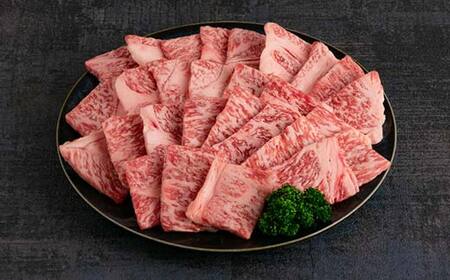山形牛 焼肉用600g (肩ロース300g+モモ・肩300g) F2Y-3925