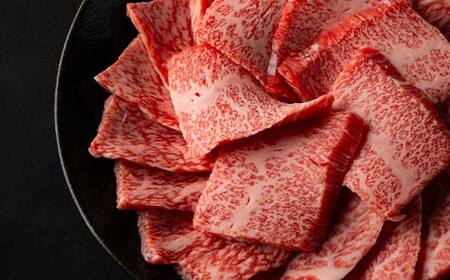 米沢牛 焼肉用600g (肩ロース300g+モモ・肩300g) F2Y-3932