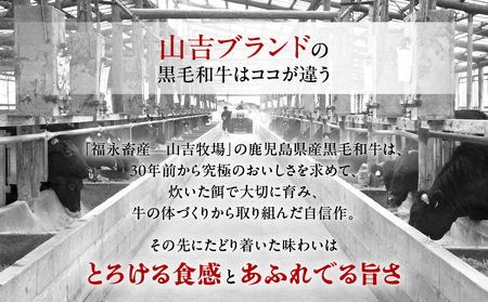 福永畜産 山吉牧場 鹿児島県産黒毛和牛・鹿児島県産黒豚 肩ロース しゃぶしゃぶ用詰合せ K326-007 肉 豚肉 牛肉 冷凍
