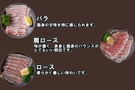 北海道産 豚肉 しゃぶしゃぶ 3種 計 1.25kg (250g×5パック) ロース バラ 肩ロース