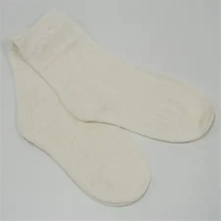 正活絹 冷えとり靴下 シルク先丸 2足セット(LLサイズ)_装飾品・工芸品  服飾小物 _【1584123】