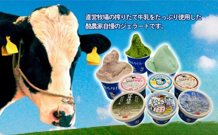牧場のアイスクリーム6個入 [ スイーツ お菓子 詰め合わせ 食べ比べ ミルク 伊勢抹茶 真珠塩 いちごみるく チョコチップ コーヒー ジェラート アイス アイスクリーム 人気 ご褒美 ]