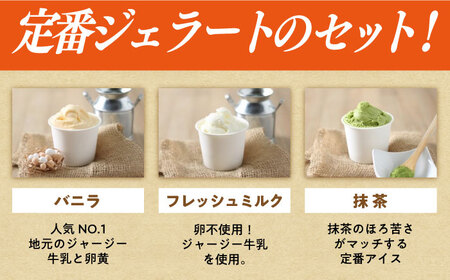 【12回定期便】シュシュ 定番ジェラート6個セット / アイス アイスクリーム ジェラート スイーツ /  大村市 / おおむら夢ファームシュシュ [ACAA408]