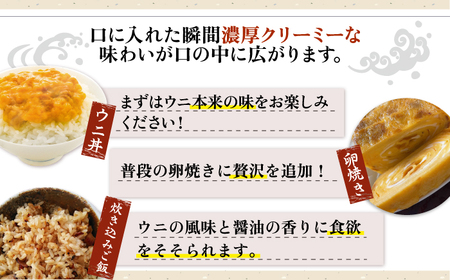 季節のイカ一夜干し1枚＋生ウニ60g 《壱岐市》【合同会社塚元】 [JDR026] ウニ イカ セット