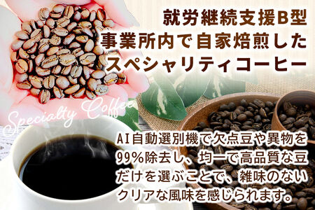 コーヒー 自家焙煎珈琲 豆 100g×おまかせ3種セット 計300g スペシャリティコーヒー