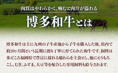 【定期便全6回】博多和牛A4ランク以上焼肉用タレ漬 1.1kg