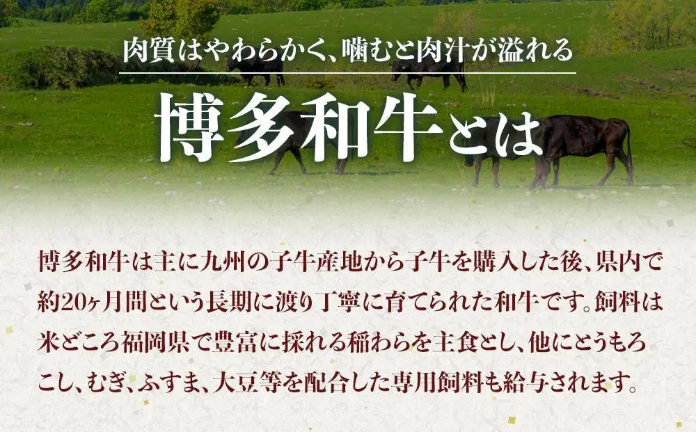 博多和牛A4ランク以上切り落とし 1kg（500g×2P）