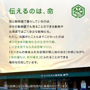 ジグソーパズル　200P　オオカミ2008 【 旭山動物園 公式 グッズ パズル おもちゃ ホビー 北海道 旭川 】_04606