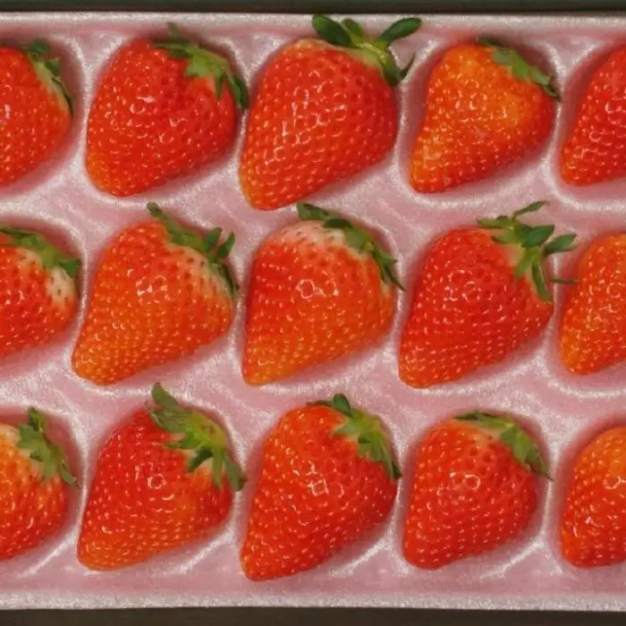 岡山市産いちご 30粒（約700g）種類おまかせ  2027年3月中旬発送開始